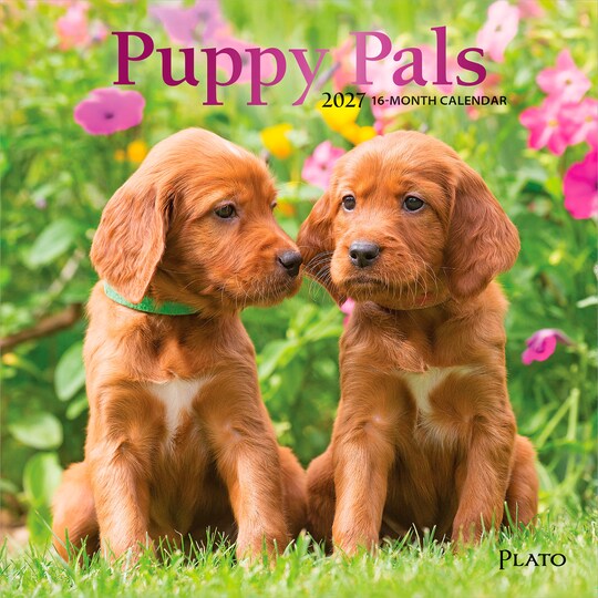 Plato; Puppy Pals | 2027 7 x 14 Inch (Hanging) Monthly Mini Wall Calendar | Foil Stamped Cover; Category:Wall Calendars; Image:1